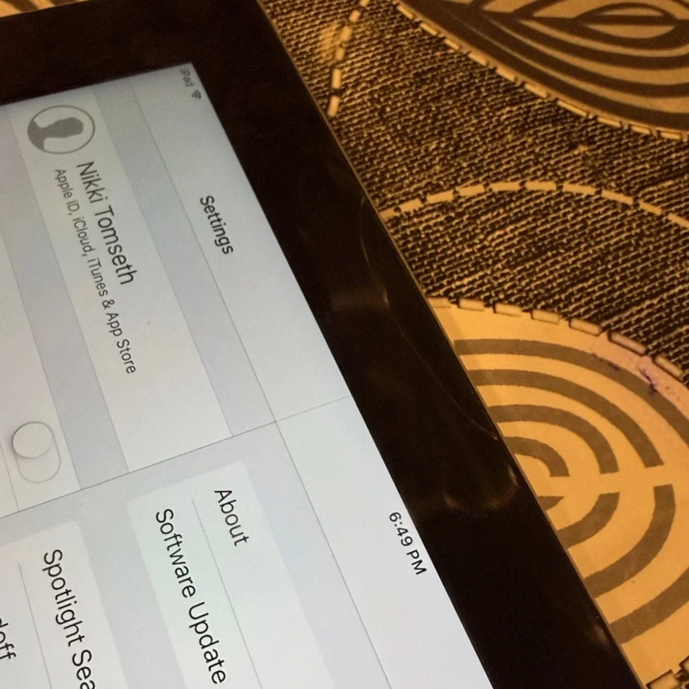 Apple iPad with silver 16gb